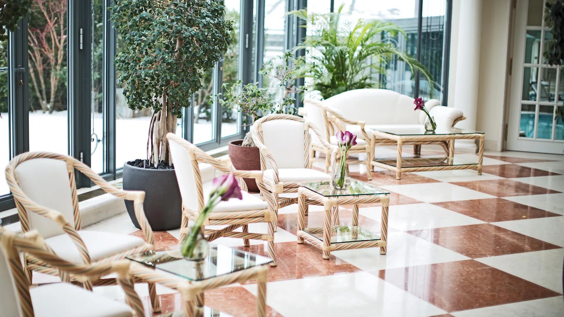 Palais Coburg Hotel Viyana