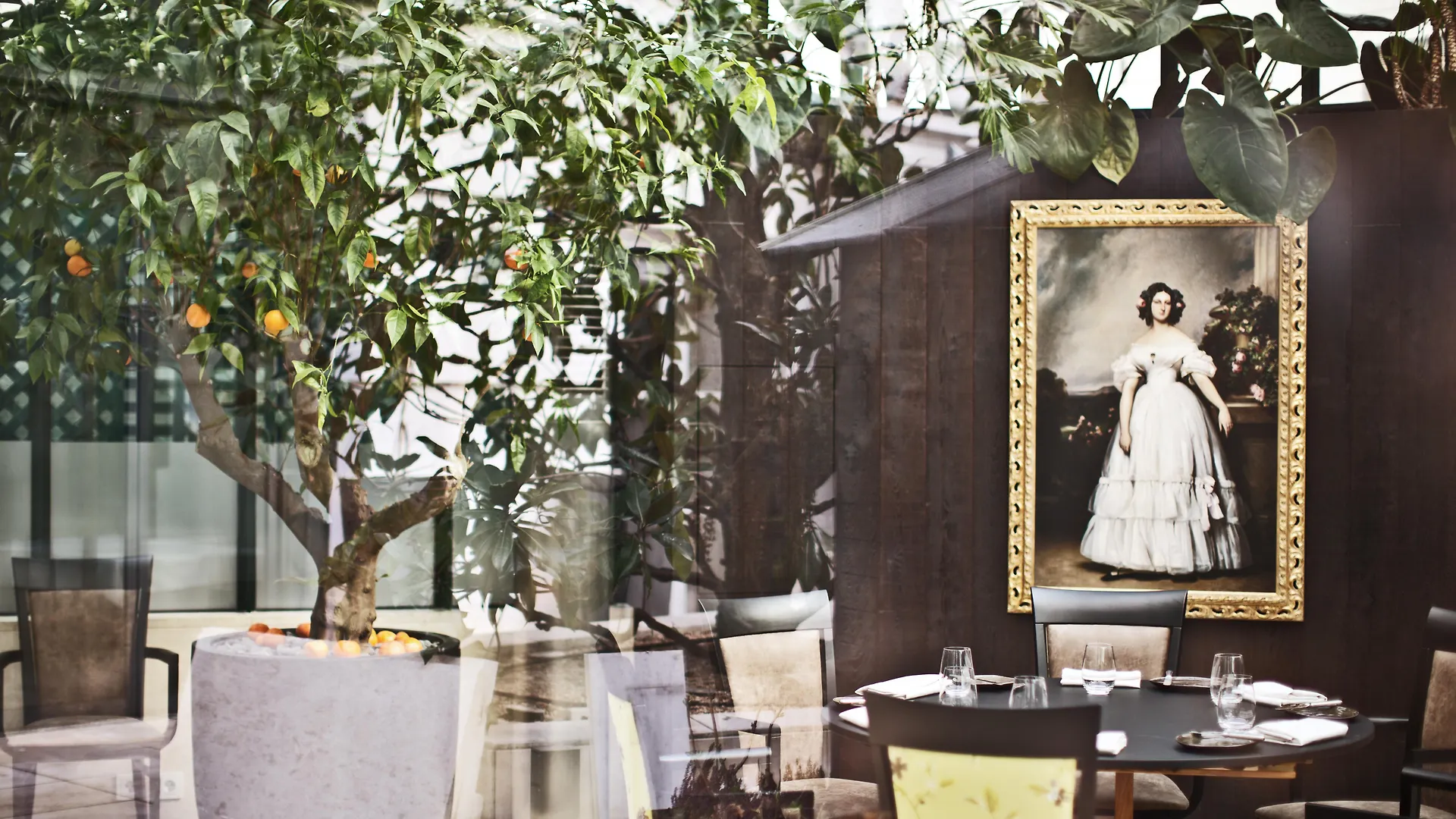 Palais Coburg Hotel Viyana